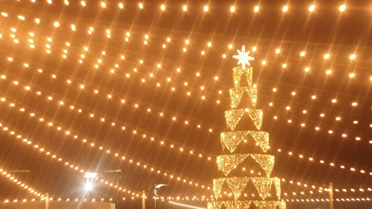 Un gran árbol de luces navideñas bajo un techo de lucecitas